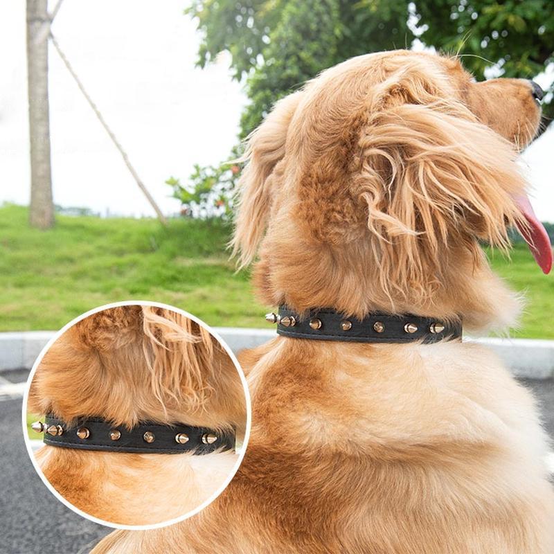 Bite-Proof Pet Collar - Image 3