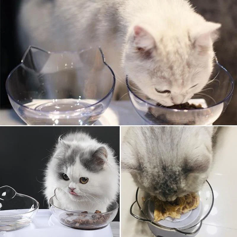 Cat Feeding Bowl (Single/Double) - Image 8