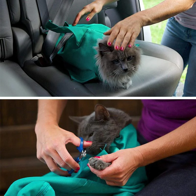 Cat Travel Pouch - Image 6