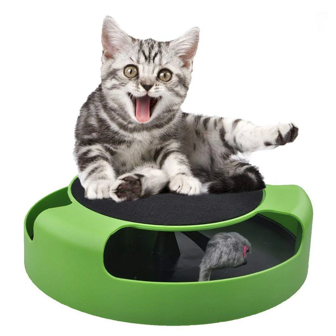 Catch Mouse Interactive Cat Toy - Image 3