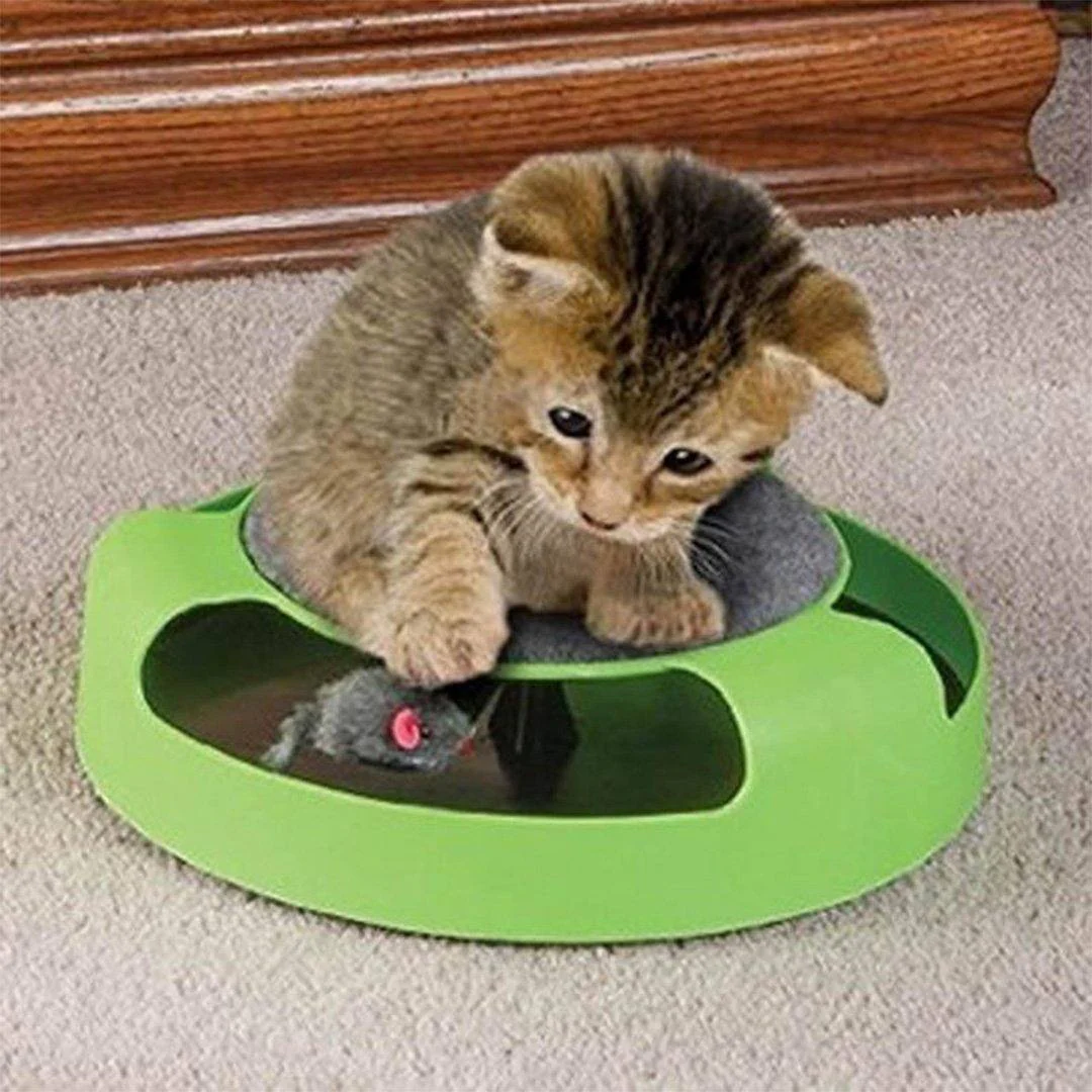 Catch Mouse Interactive Cat Toy - Image 4
