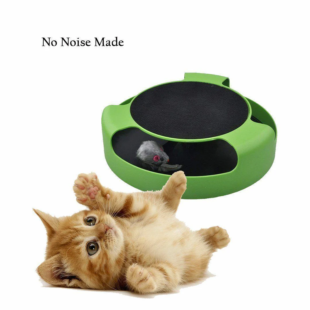 Catch Mouse Interactive Cat Toy - Image 5