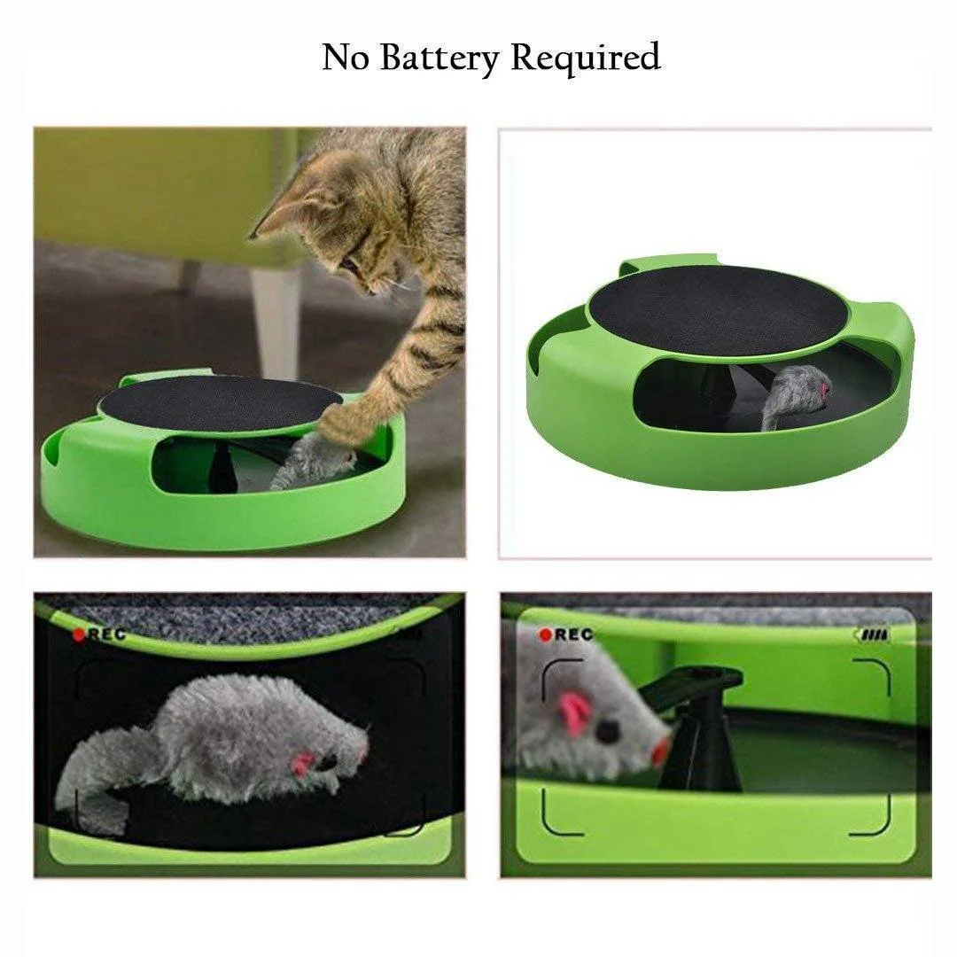 Catch Mouse Interactive Cat Toy - Image 6