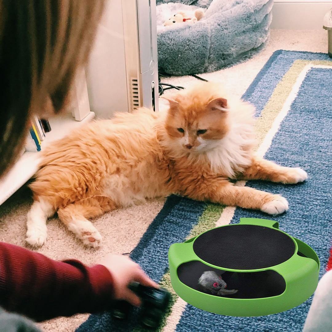 Catch Mouse Interactive Cat Toy - Image 7