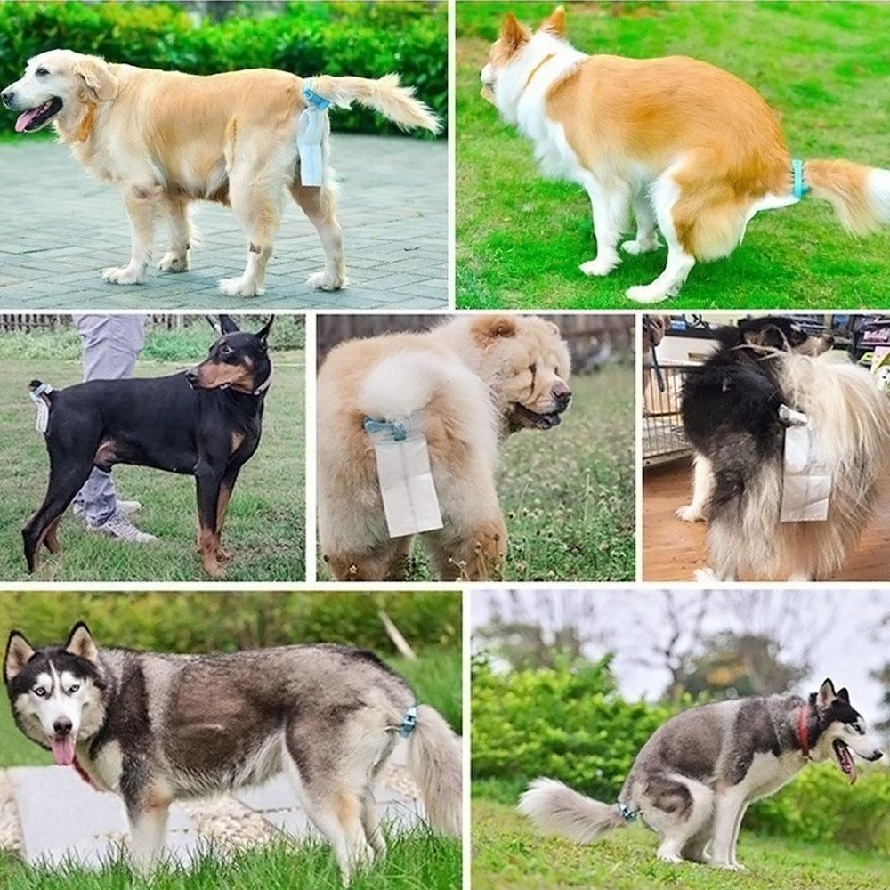 Clip to gather the dog's stool - Image 6