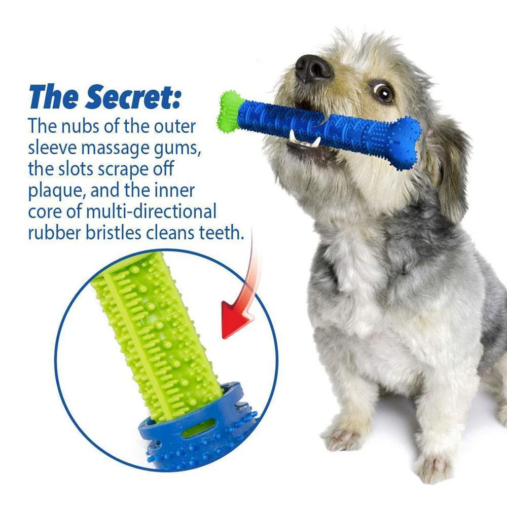 Dog Chewbrush Toothbrush | Teeth Cleaning Toy - Image 3