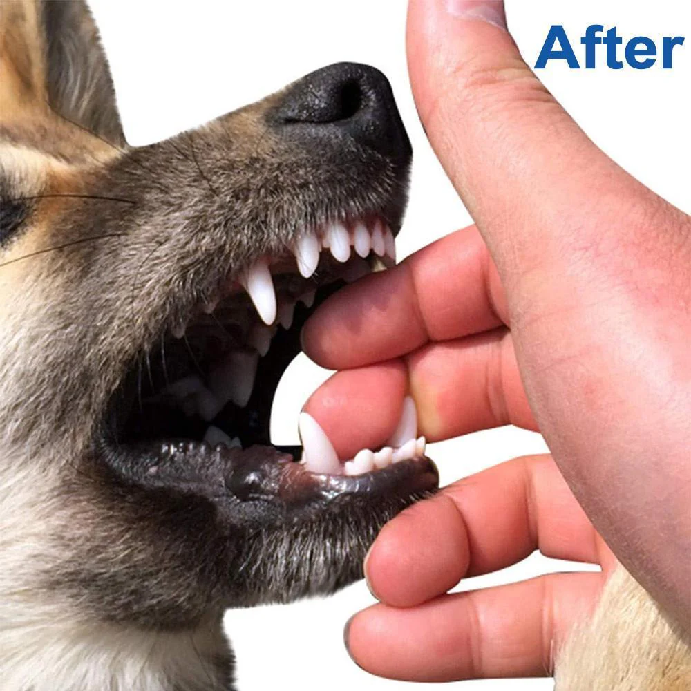 Dog Chewbrush Toothbrush | Teeth Cleaning Toy - Image 5