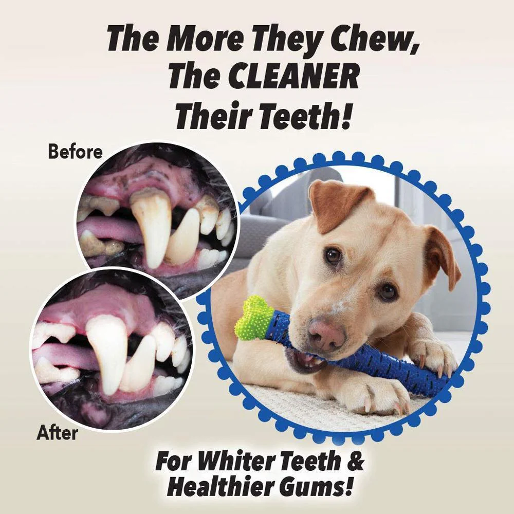 Dog Chewbrush Toothbrush | Teeth Cleaning Toy - Image 6