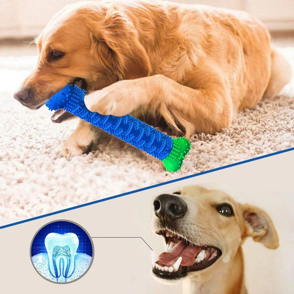 Dog Chewbrush Toothbrush | Teeth Cleaning Toy - Image 7